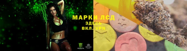 PSILOCYBIN Баксан