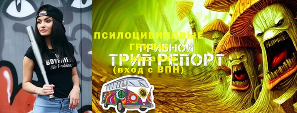 круглые Аркадак