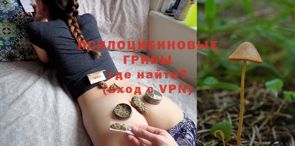 PSILOCYBIN Баксан