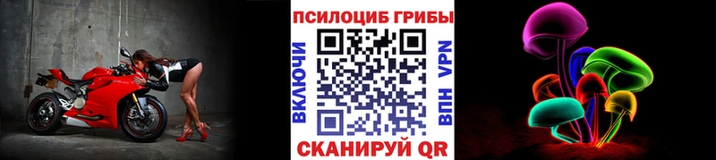 площадка какой сайт как найти Оленегорск Псилоцибиновые грибы прущие грибы